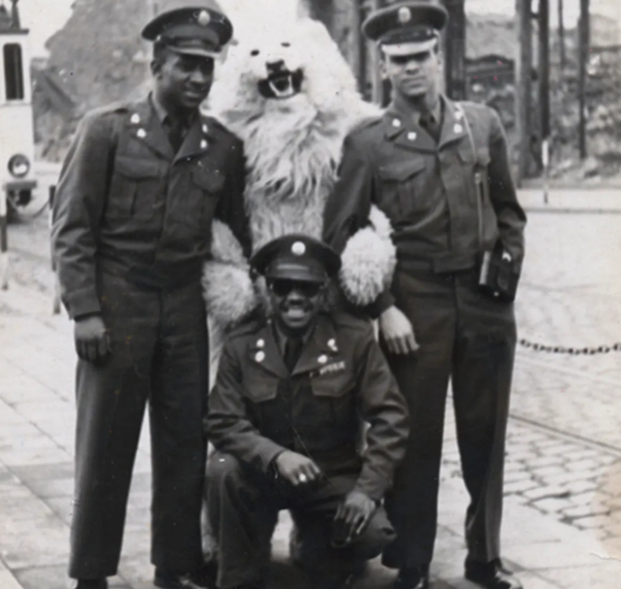 orso polare mania soldati americani