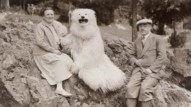 Foto del giorno: l'orso polare in Germania, una strana e misteriosa mania