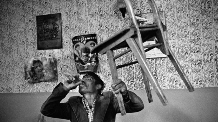 Foto del giorno: nella taverna di Alì