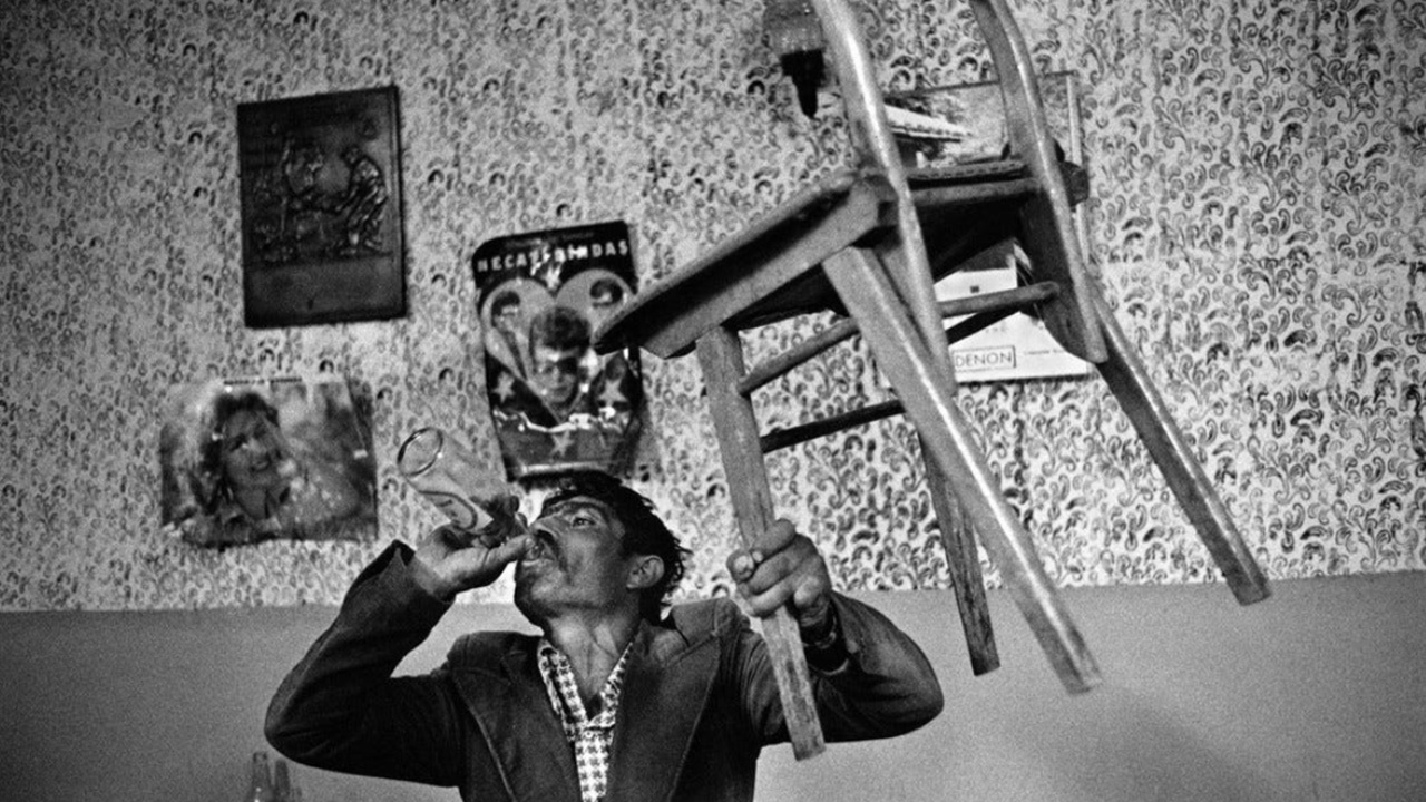 Foto del giorno: nella taverna di Alì