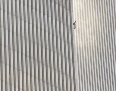 Foto del giorno: The Falling Man