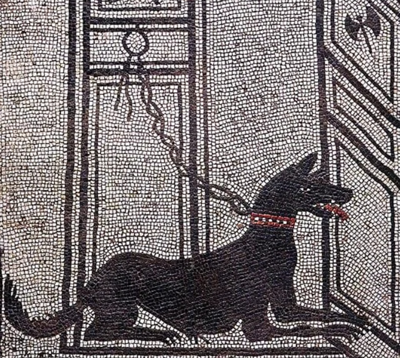 collare chiodato mosaico pavimento cane
