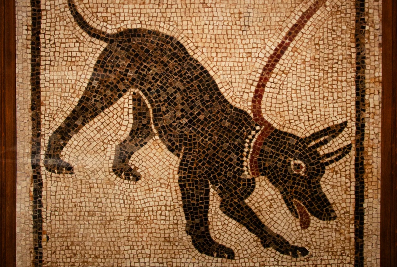 collare chiodato cane nella Roma antica