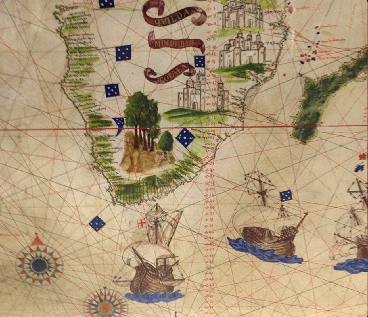 albero Sudafrica mappa cinquecentesca