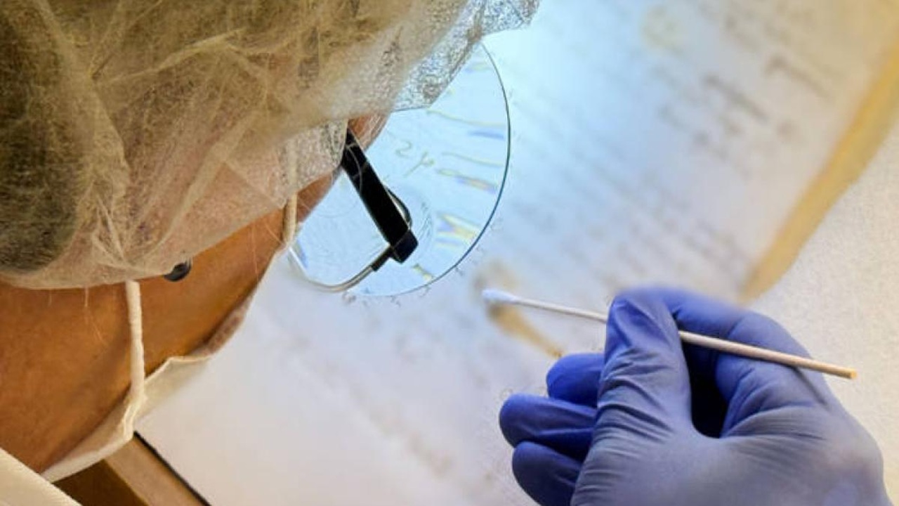 leonardo da vinci DNA