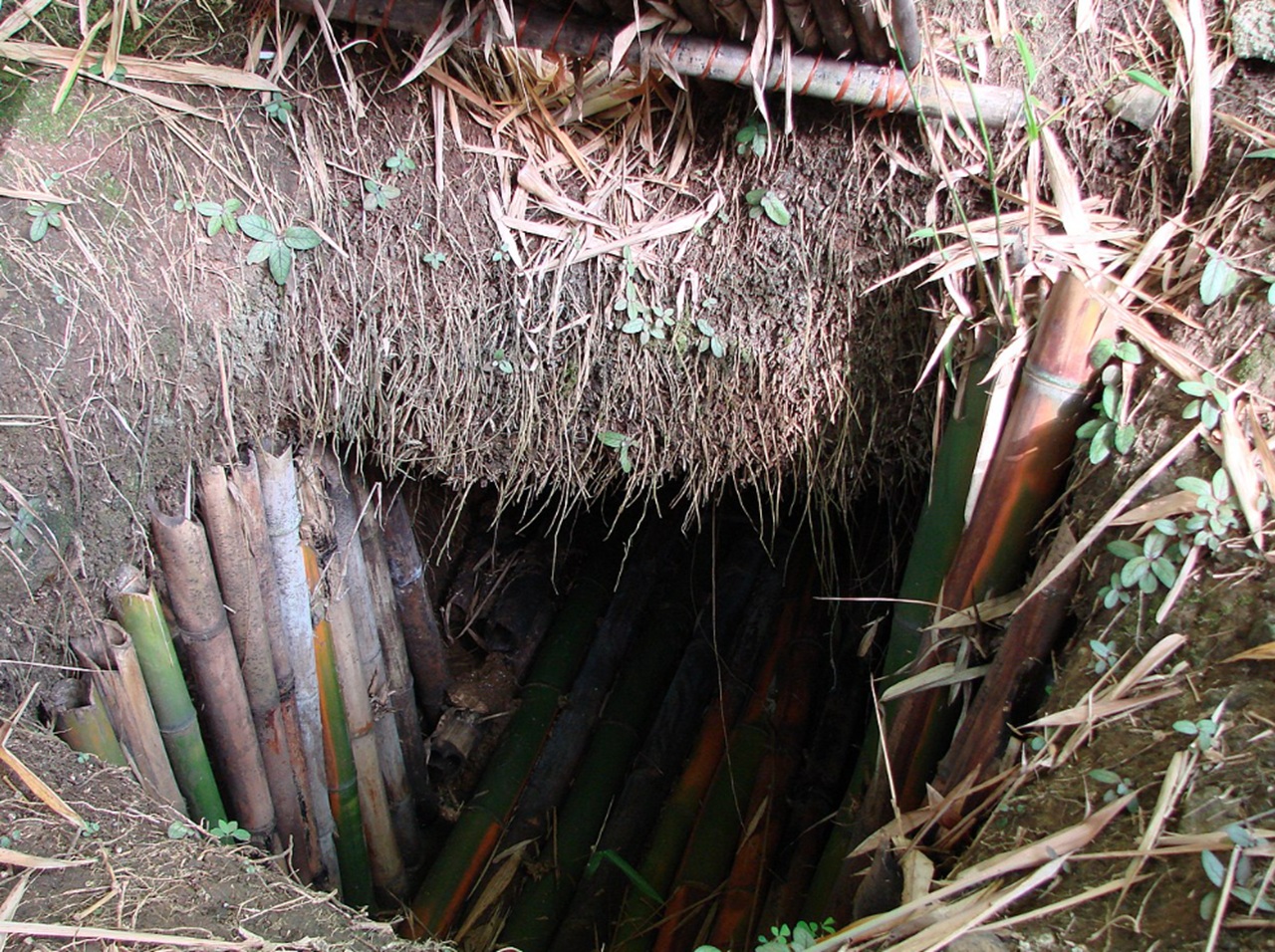Shōichi Yokoi nascondiglio