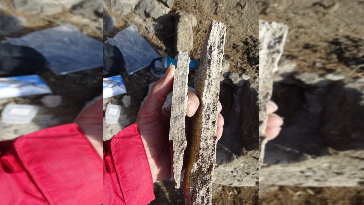 terme pompei campioni