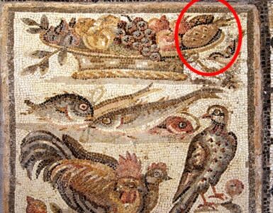 Un ananas americano in un mosaico romano? Facciamo chiarezza