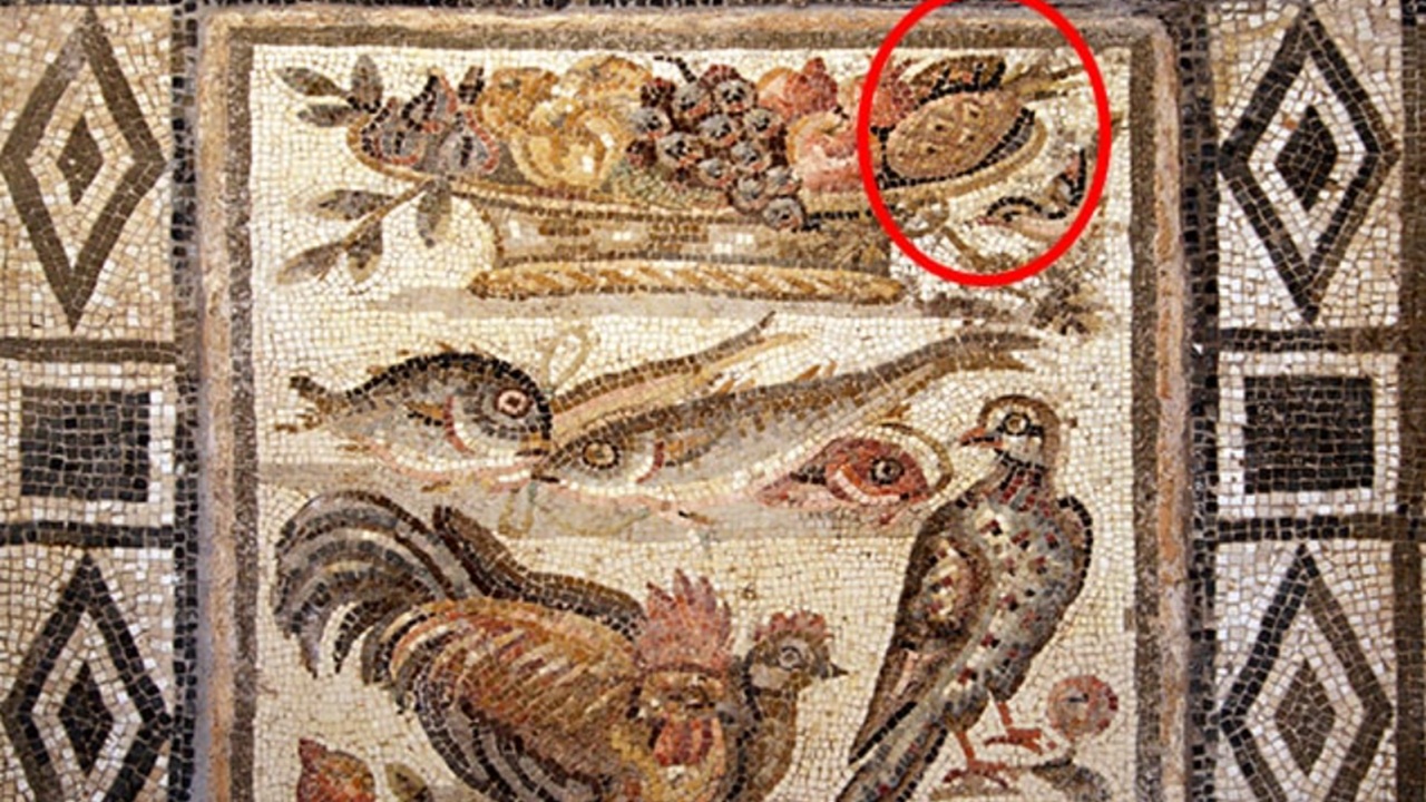 Un ananas americano in un mosaico romano? Facciamo chiarezza