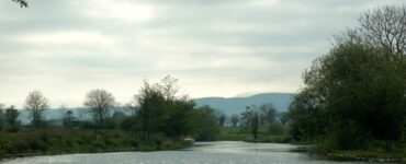 fiume arney biscotti