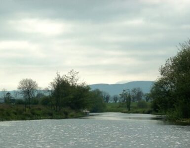fiume arney biscotti