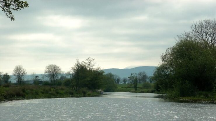 fiume arney biscotti