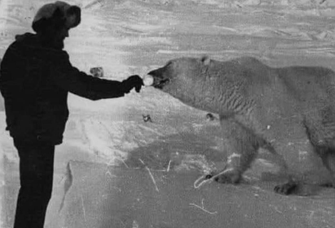 cordialità siberiana Nikolai Machulyak