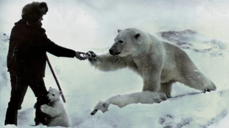 Foto del giorno: cordialità siberiana