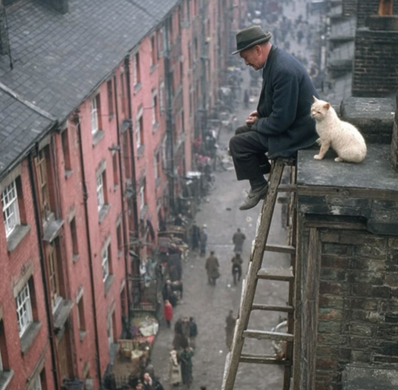 Dublino uomo su un tetto 1957