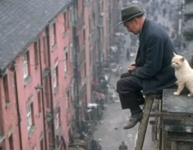 Foto del giorno: lontano dal frastuono di Dublino