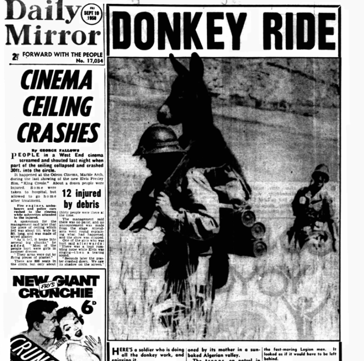 asino articolo giornale