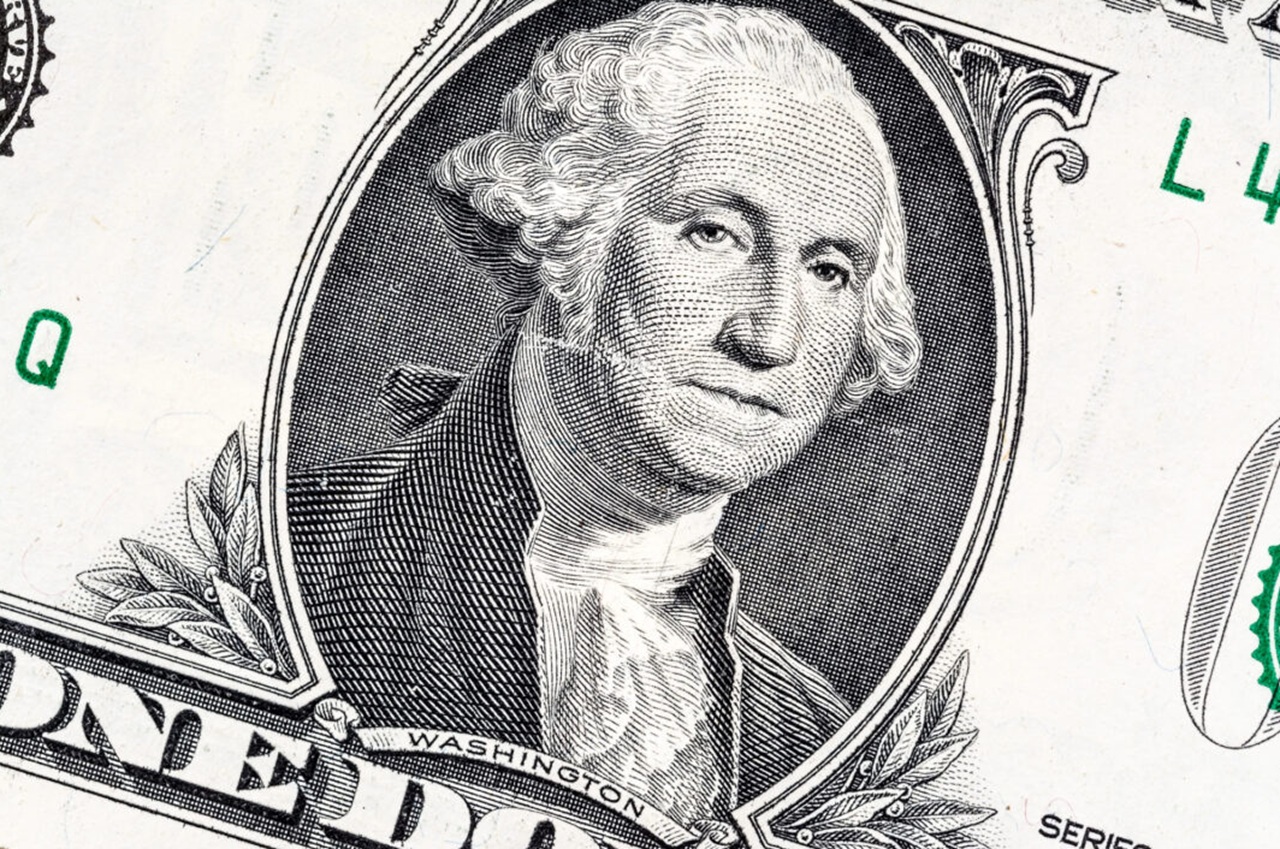 scucchia Washington dollaro