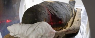 mummie egizie sacerdoti