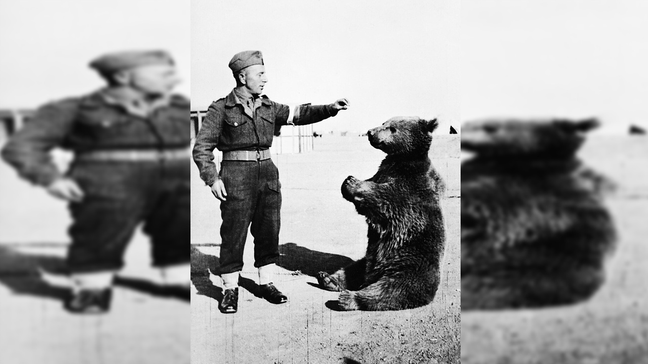 wojtek