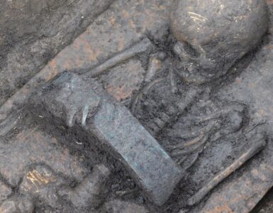 bambini cinture guerriero