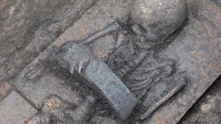 bambini cinture guerriero