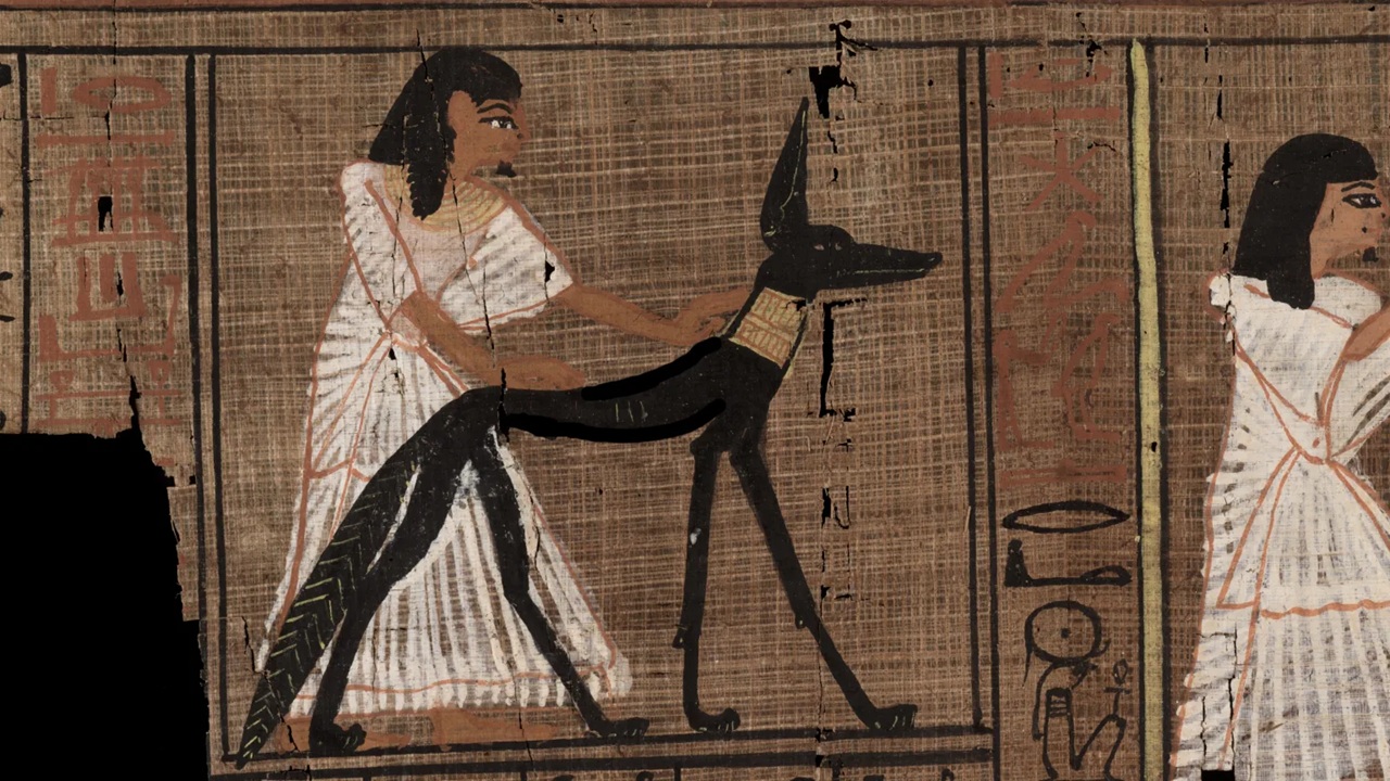 papiri errore bianchetto