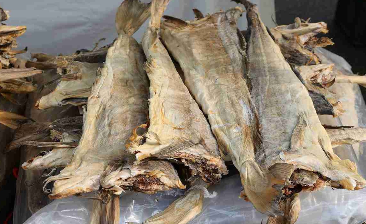 Pietro Querini stoccafisso